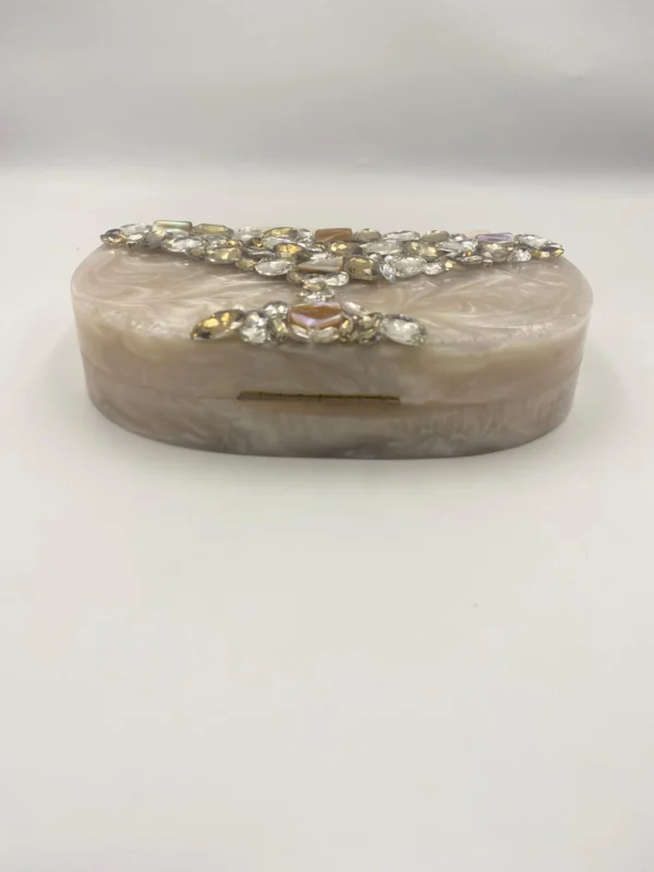 Resin Clutch Purse